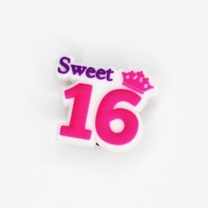 Sweet 16 croc charm